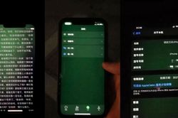 Apple thừa nhận iPhone 12 gặp sự cố màn hình ám xanh, đang tiến hành điều tra