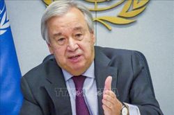 Liên hợp quốc kêu gọi G20 tăng cường ứng phó với dịch Covid-19