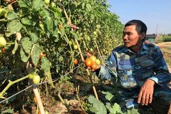 Hội Nông dân huyện Đan Phượng: Trao 'cần câu' cho hội viên để thoát nghèo