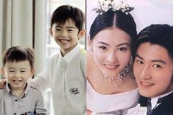 Những tin đồn xung quanh cuộc ly hôn của Tạ Đình Phong và Trương Bá Chi