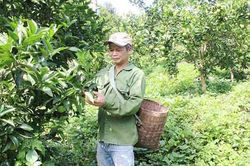 Mường Bang hồi sinh sau lũ