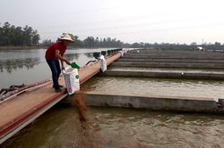 Nhân rộng các hợp tác xã điển hình tiên tiến