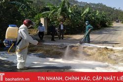 Lộc Hà gấp rút triển khai nhiều biện pháp bảo vệ đàn lợn 12.355 con