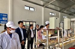 Ứng dụng công nghệ trong quản lý sản xuất, kinh doanh thực phẩm