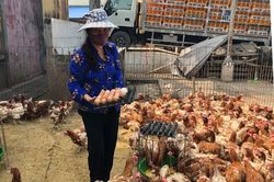 Nhọc nhằn mưu sinh ở chợ Hà Vỹ