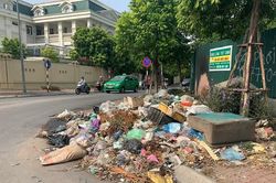 Phế thải đổ bừa bãi, gây mất vệ sinh môi trường