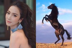 Những con giáp làm vợ giỏi, dâu hiền, chồng yêu chiều cung phụng như bà hoàng