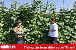 Đảng bộ xã Nông Trường đổi mới phương thức lãnh đạo theo hướng gần dân, sát cơ sở
