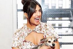 Hoa hậu Priyanka Chopra cho thú cưng dùng túi LV, bát ăn Hermès