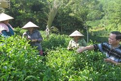 Thái Nguyên: Hiệu quả từ chương trình đào tạo nghề cho người yếu thế