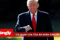 Tổng thống Trump tuyên bố đủ thông tin để thay đổi kết quả bầu cử