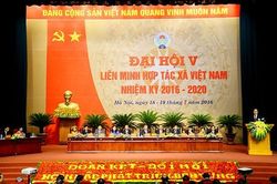 600 đại biểu dự Đại hội toàn quốc Liên minh HTX lần thứ VI