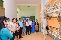 Xây dựng Bảo tàng trở thành điểm đến văn hóa hấp dẫn