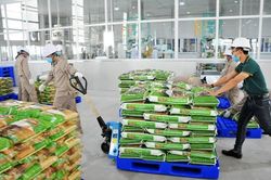 PAN công bố kết quả chào mua cổ phiếu VFG