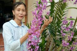 45 năm báo Giác Ngộ ra số đầu tiên (1-1-1976 - 1-1-2021) : Niềm vui, nỗi niềm trăn trở của CTV xứ sen hồng