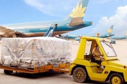 Công ty dịch vụ hàng hóa Nội Bài bị phạt hơn 500 triệu đồng