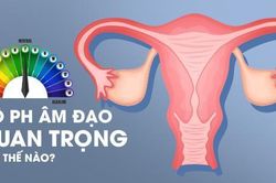Độ pH âm đạo - 'Thước đo' sức khỏe của 'vùng kín' phụ nữ