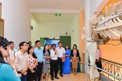 Để Bảo tàng Nghệ An trở thành điểm đến văn hóa hấp dẫn