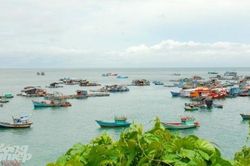 Biển đảo Việt Nam: Ngăn chặn khai thác tận diệt nguồn lợi thủy sản tự nhiên