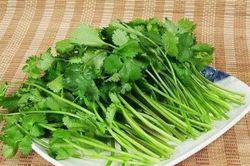Mua nhiều rau mùi, đừng cho ngay vào tủ lạnh, thêm vài bước nữa để nửa năm vẫn xanh tươi
