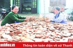 Tiếp tục đẩy mạnh hoạt động nghĩa tình đồng đội