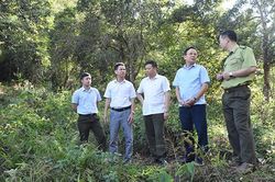 Kiểm tra tiến độ thực hiện đề tài khoa học và công nghệ trên địa bàn huyện Thuận Châu