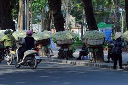 Hà Nội có sương mù về đêm và sáng sớm, ngày nắng ấm