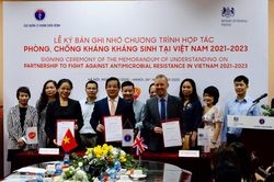 Bộ Y tế, Đại sứ quán Anh và GSK hợp tác chống kháng kháng sinh