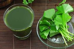Công dụng chữa bệnh và làm đẹp da tuyệt vời từ rau má