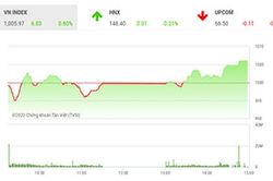VN-Index tiếp tục vận động quanh ngưỡng 1.000