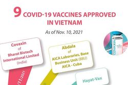 Nine Covid-19 vaccines approved in Vietnam