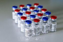 Dịch COVID-19: Tổng thống Mỹ Donald Trump công bố thời điểm phân phối vaccine