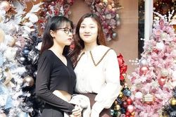Hà Nội: Phố Hàng Mã lung linh sắc màu trước thềm Giáng sinh