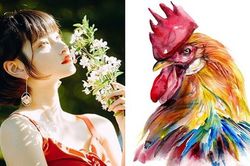 Dự đoán ngày mới 29/11/2020 cho 12 con giáp: Thân thăng tiến, Dậu giữ chặt ví