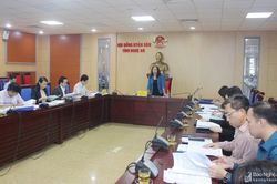HĐND tỉnh thẩm tra dự thảo chính sách khen thưởng các danh hiệu văn hóa tiêu biểu