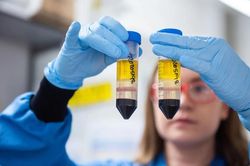 Vaccine phòng COVID-19 có thể phân chia theo lứa tuổi