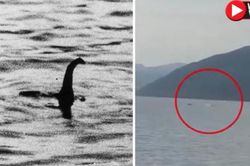 Bằng chứng video mới về quái vật hồ Loch Ness