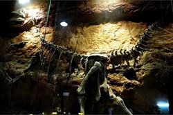 Ghé thăm công viên khủng long lớn nhất thế giới
