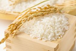 Giá lúa gạo hôm nay ngày 28/11: Lúa ổn định, gạo bất ngờ tăng nhẹ
