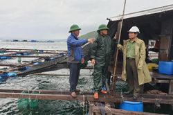 Vạn Ninh triển khai ứng phó với mưa lớn trên diện rộng