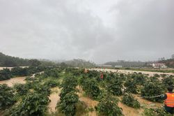Tin mới nhất vụ cả trăm người tìm nhóm du khách bị lũ cuốn ở Lâm Đồng