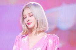 Nancy (Momoland) ngừng hoạt động, tự cách ly vì COVID-19