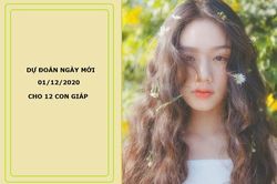 Dự đoán ngày 01/12/2020 cho 12 con giáp: Đầu tháng thần may mắn gọi tên ai?