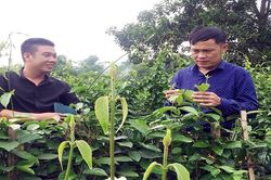 Phú Lương - Thái Nguyên: Nông thôn mới mang lại diện mạo mới