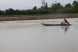 Hình ảnh cuộc sống mưu sinh nghề bắt cá đồng sông nước miền Tây