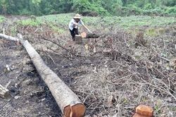 Nông sản mới, nông thôn mới và nền nông nghiệp dễ 'tổn thương'