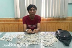 Bắt khẩn cấp đối tượng đột nhập tiệm bạc trộm hơn 160 sợi dây chuyền