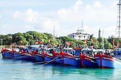 Một số chỉ dẫn cho tàu cá tránh trú bão