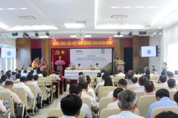 Hậu Giang: Kết hợp sản xuất nông nghiệp công nghệ cao và điện mặt trời áp mái