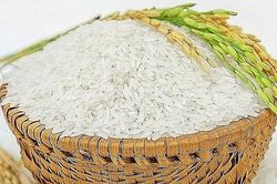 Giá lúa gạo ngày 24/11: Gạo nguyên liệu giảm